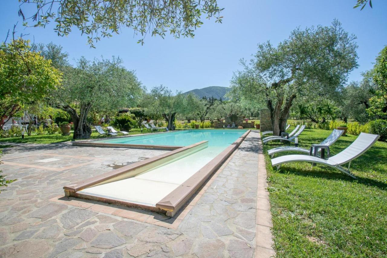 Agriturismo Buen Camino スカルリーノ エクステリア 写真