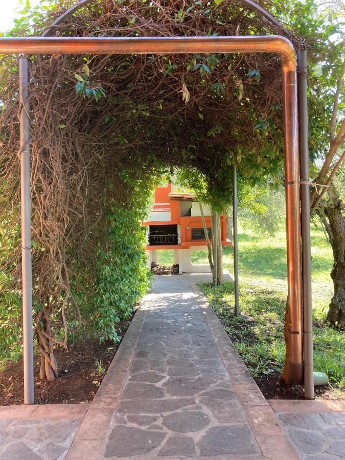 Agriturismo Buen Camino スカルリーノ エクステリア 写真